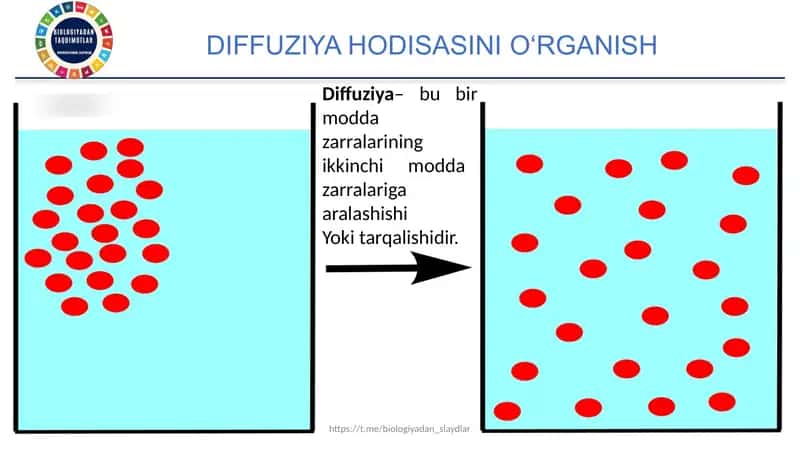 Gastroenterologiya sikli uchun ishlatiladigan dorilar toplami va dozalari 2