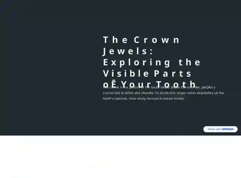 Understanding Your Pearly Whites: A Journey Through Tooth Anatomy 2