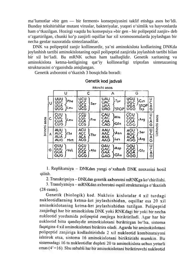 10-Mavzu. Oqsil biosintezi. Kodon va antikodon 2