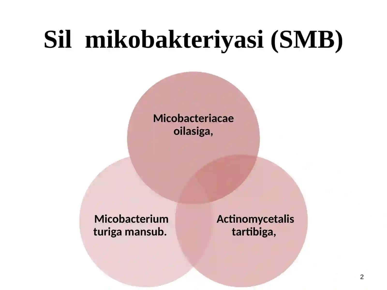 Silmikobakteriyasi 2