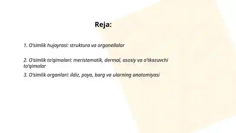 O'simlik hujayrasi anatomiyasi 2