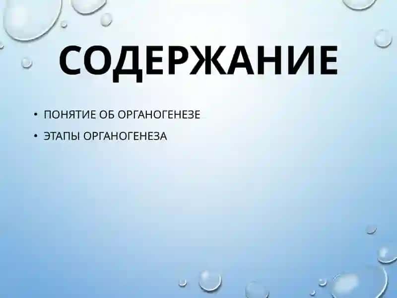 ОРГАНОГЕНЕЗ 2