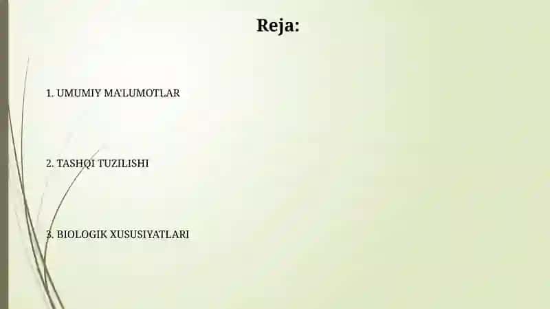 Hashoratlardan qandalalar turkumi 2