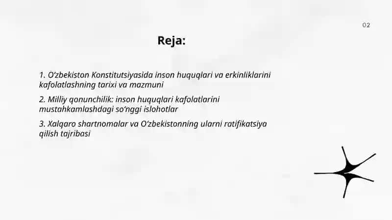 Oʻzbekistonda inson huquqlari va erkinliklarini kafolatining yaratilishi 2
