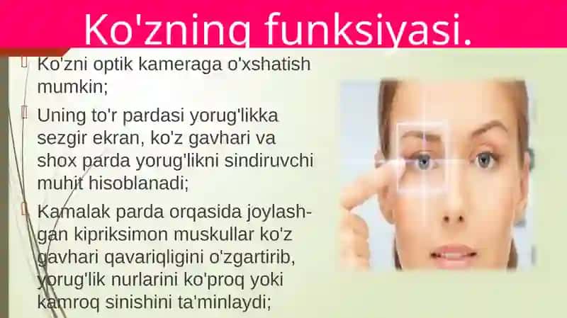 Ko'rish organlarining funksiyasi 2
