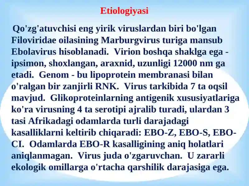 Ebola, Lassa viruslari 2