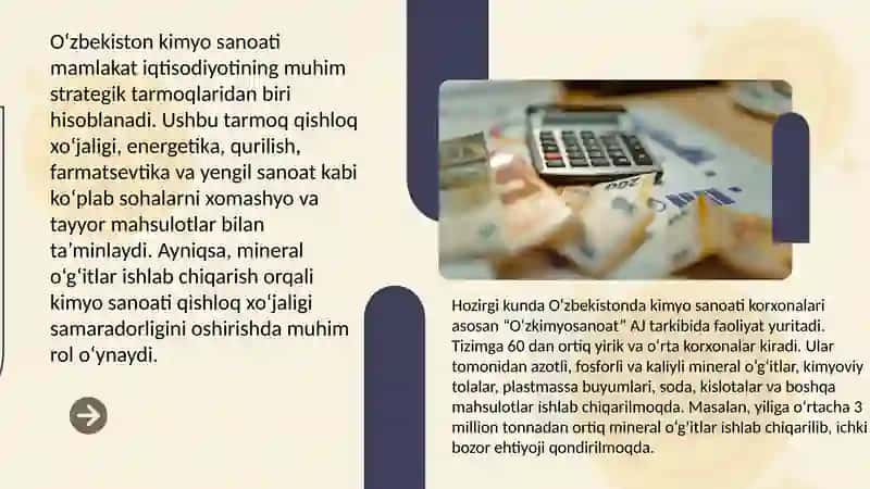 Iqtisodiyotni modernizasiyalash sharoitida O’zbekiston kimyo sanoatining rivojlanishi 2