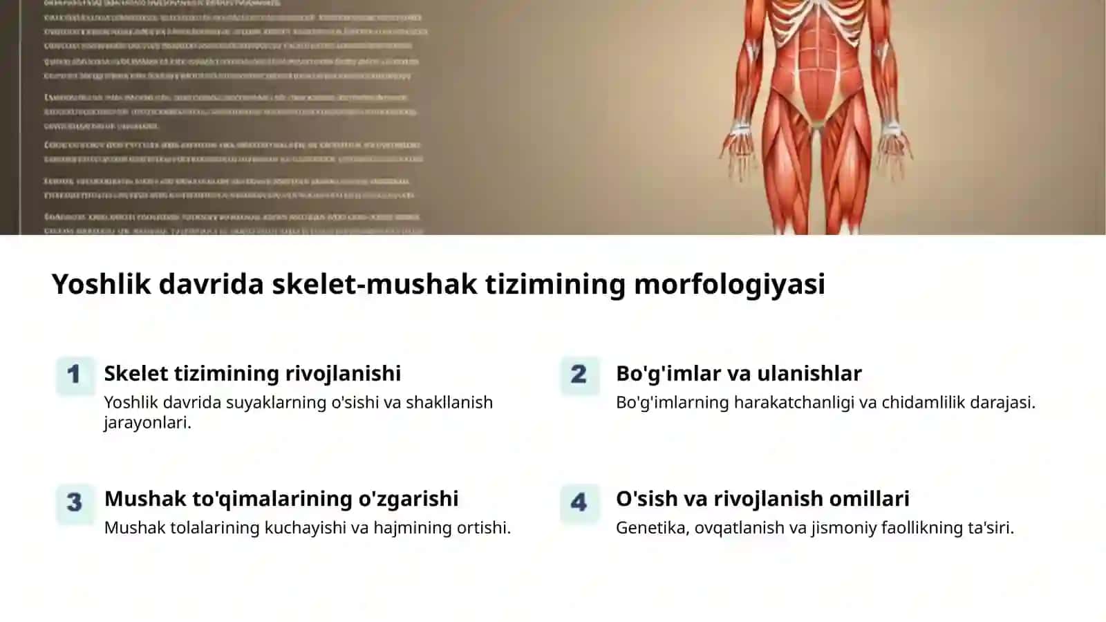 Yoshlik davrlari: morfologiya va fiziologiya 2