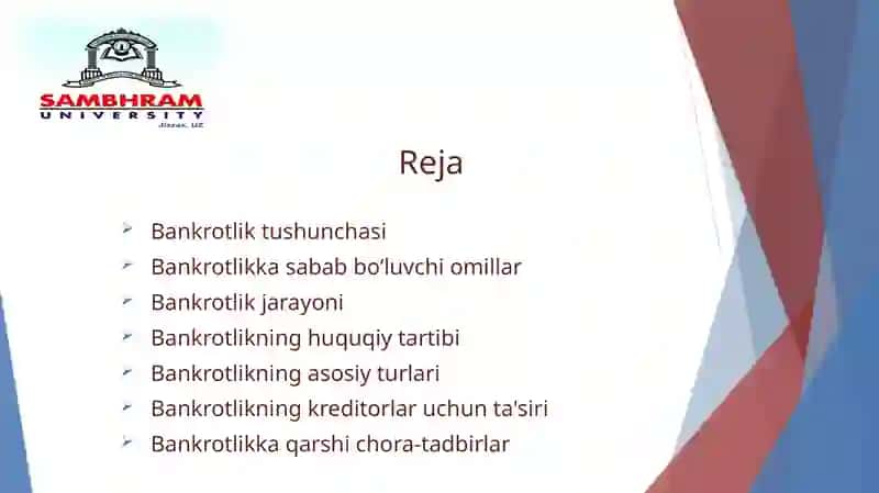 Biznesh uquqlarini subyektlarining bankrotligi 2