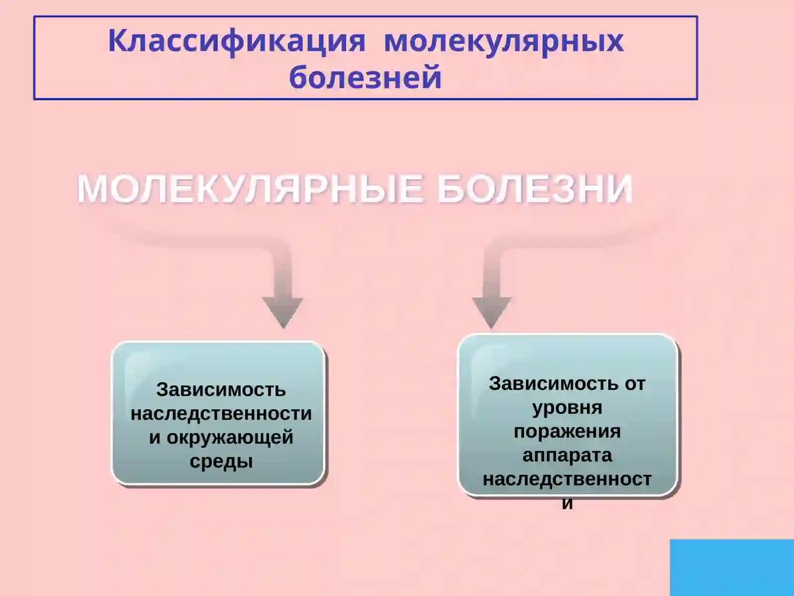 Молекулярные болезни 2