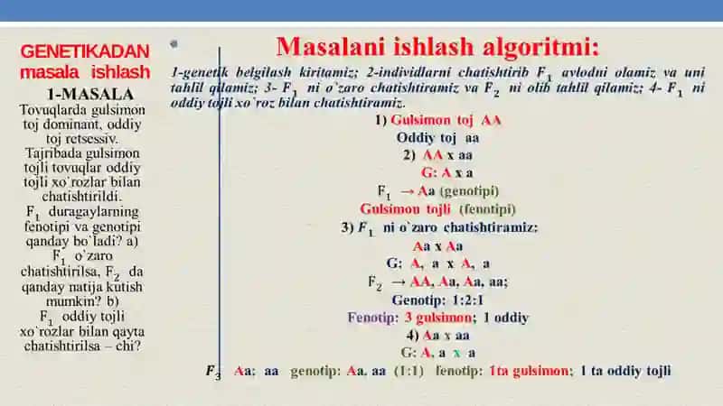 Monoduragay chatishtirishga oid masalalar ishlash 2