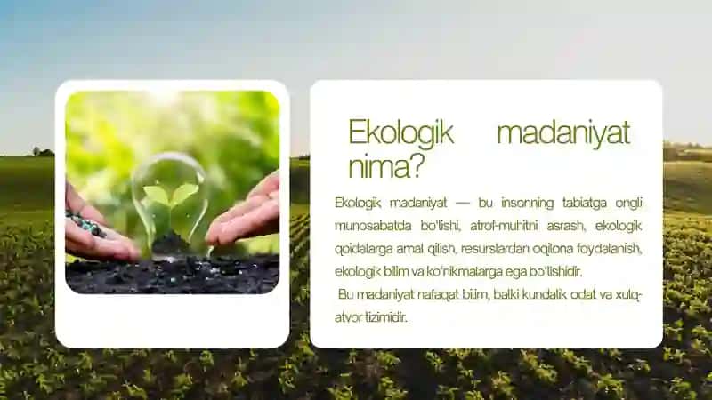 Ekologik madaniyat 2
