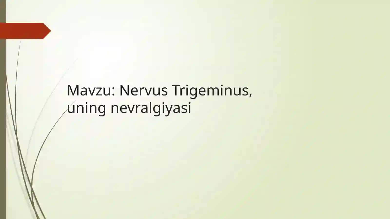 Nervus Trigeminus, uning nevralgiyasi 2