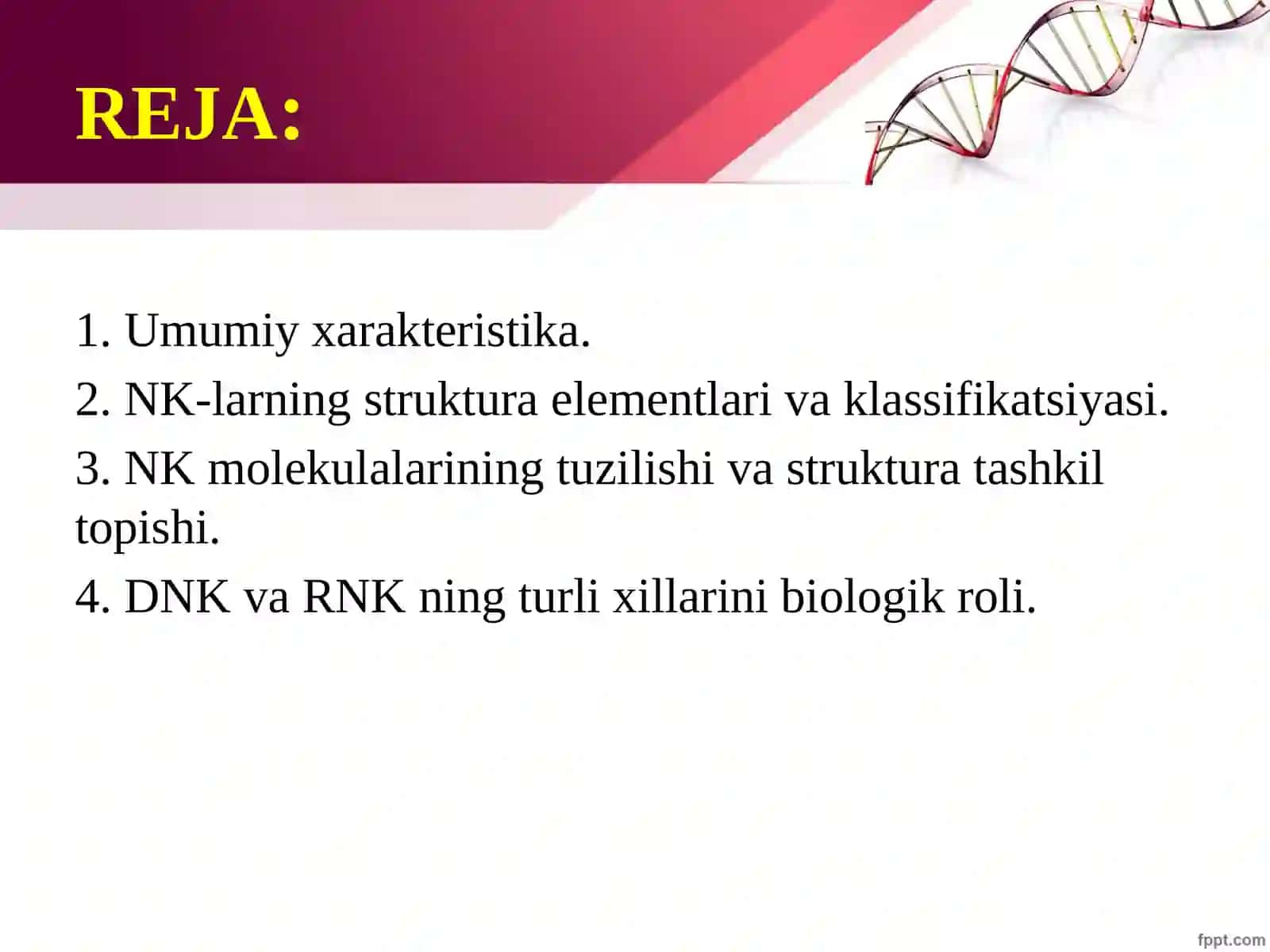 Nuklein kislotalar: tuzilishi, xossalari va biologik funksiyalari 2