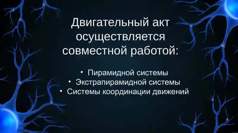 Экстрапирамидная система 2
