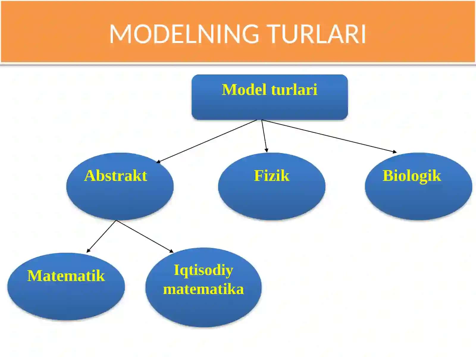 Model vauning turlari 2