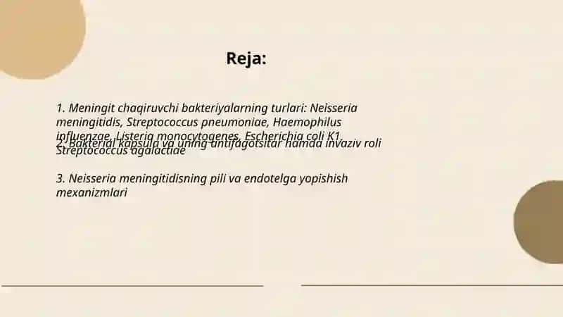 Meningit chaqiruvchi bakteriyalar va ularning patogenezi 2
