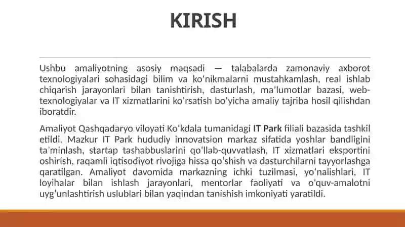 IT PARK da oʻtagan amaliyot hisoboti 2
