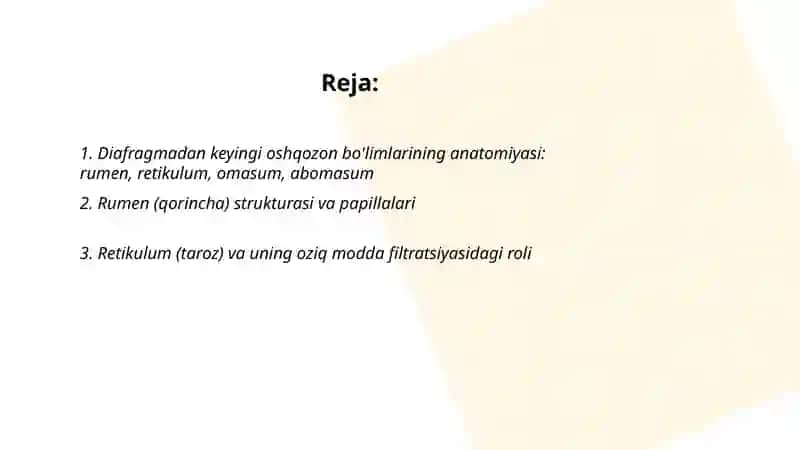 Kavsh qaytaruvchi hayvonlarning diafragmadan keyingi ovqat hazm qilish sistemasi 2
