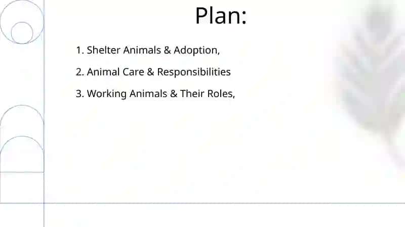 Domestic animals 2