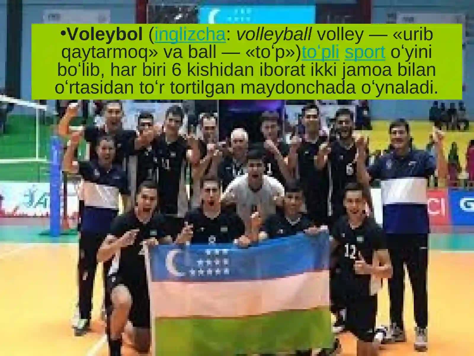 Voleybol 2