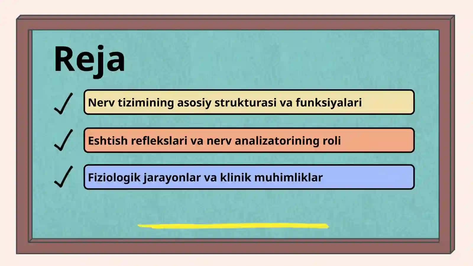 Eshtish analizatori nerv fiziologik asosi 2