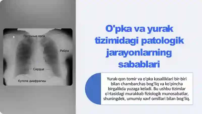 O'pka va yurak tizimidagi patologik jarayonlarning sabablari 2
