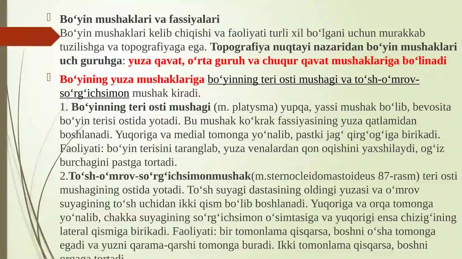 Bo‘yinmushaklari va fassiyalari 2