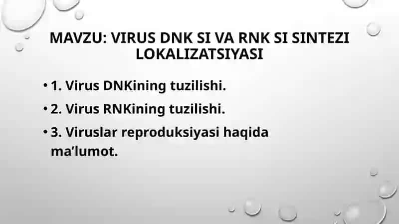 Virus DNK si va RNK si sintezi lokalizatsiyasi 2