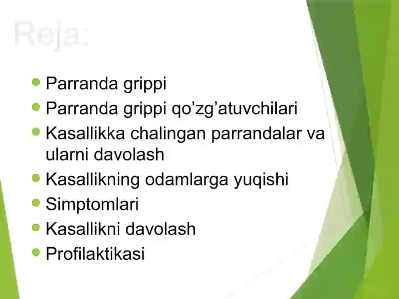 Parranda grippi 2