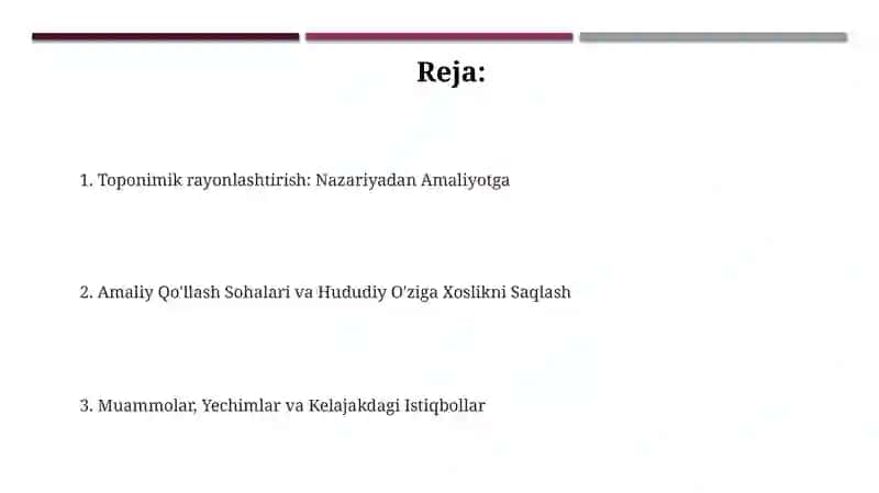 Toponomik rayonlashtirish tamoyillarini amaliyotda qòllash 2
