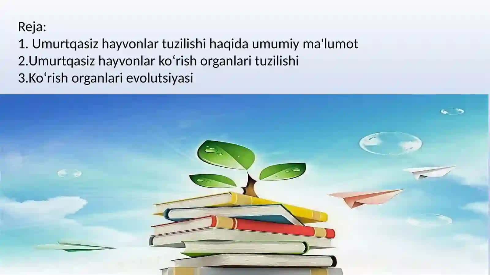 Umurtqasiz hayvonlarni koʻrish organlari tuzilishi va evolutsiyasini oʻrganish 2
