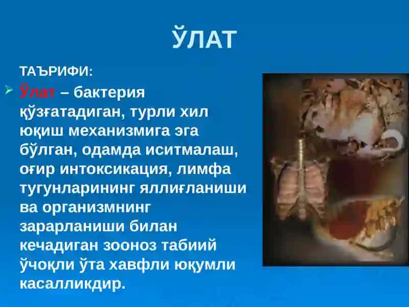 ЎЛАТ 2