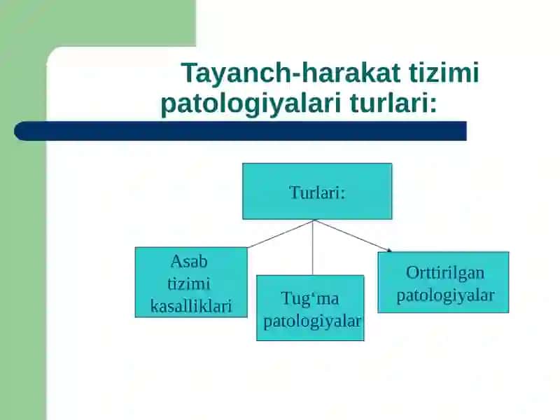 Tayanch-harakat apparatida nuqsonlari bо‘lgan bolalar rivojlanishining o‘ziga xos xususiyatlari 2