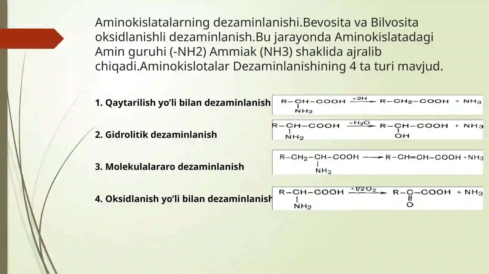 Oqsillar almashinuvi.Oqsillarning hazmlanishi va so'rilishi 2