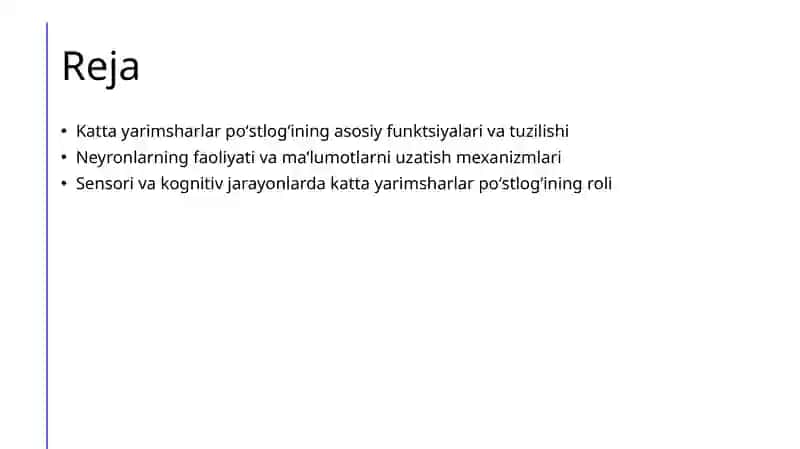 Katta Yarimsharlar Poʻstlogʻining Tuzilishi 2