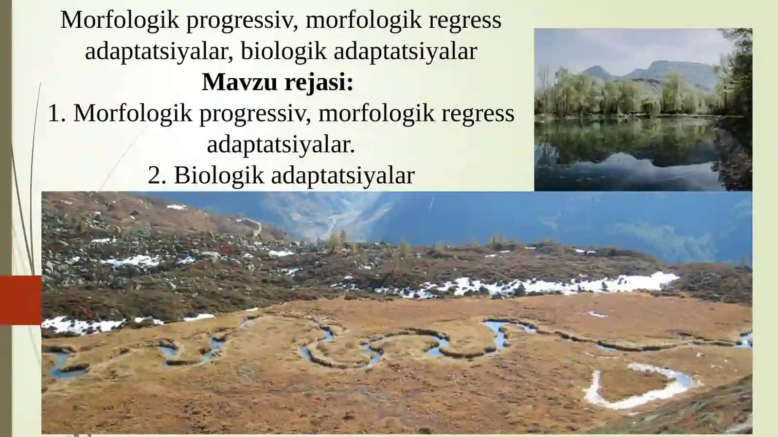 Parazitlarning yashash sharoitiga adaptatsiyalari 2