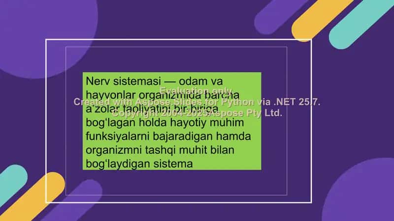 Sezgilar haqida umumiy tushuncha va uning nerf-fiziologik asoslari 2