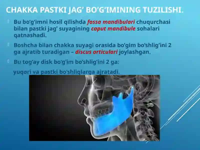 Chakka pastki jag’ bo’g’imining(ChPJB)tuzilish xususiyatlari. 2