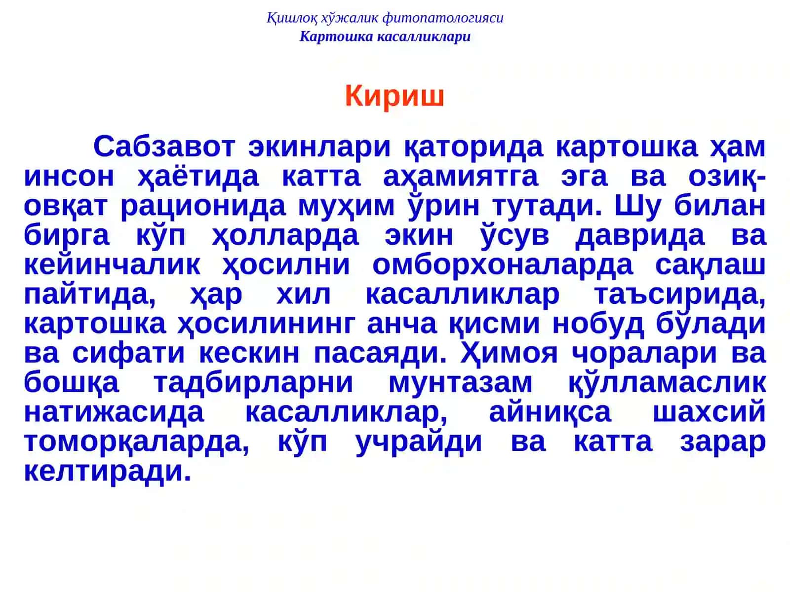 Картошка касалликлари ва уларга қарши кураш чоралари 2