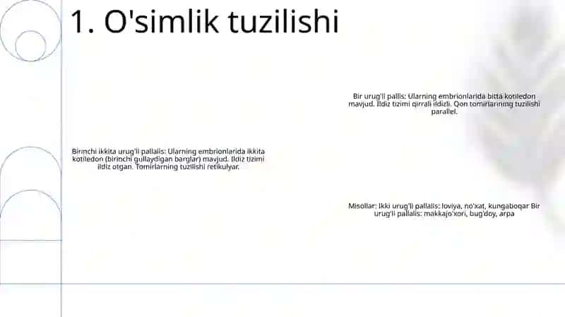 Ikki Urugʻ Pallalilar Va Bir Urugʻ Pallalilar Vakillari Orasidagi Farqli Belgilar 2