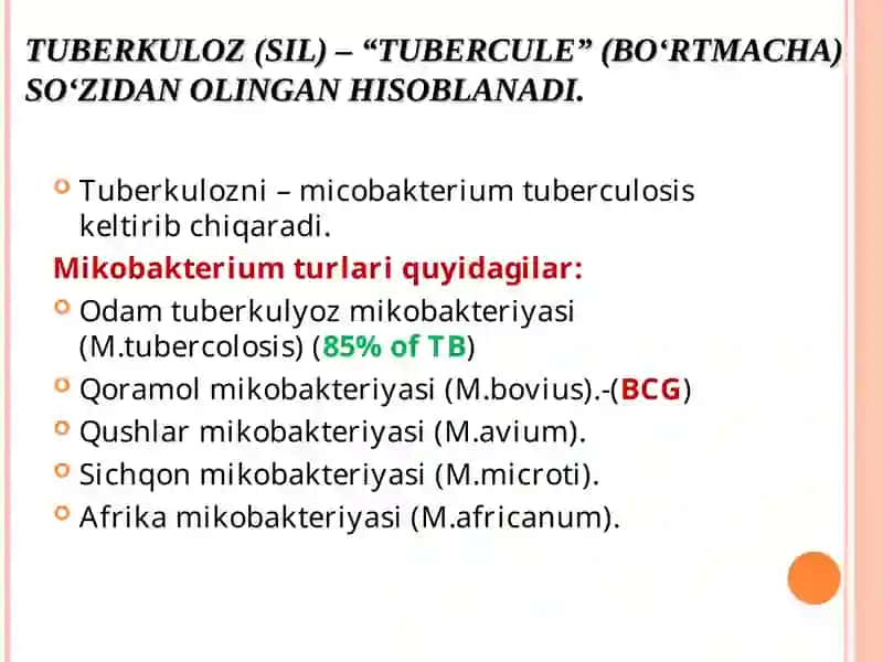 Tuberkuloz (SIL) – “TUBERCULE” (BOʻRTMACHA) SOʻZIDAN OLINGAN HISOBLANADI 2