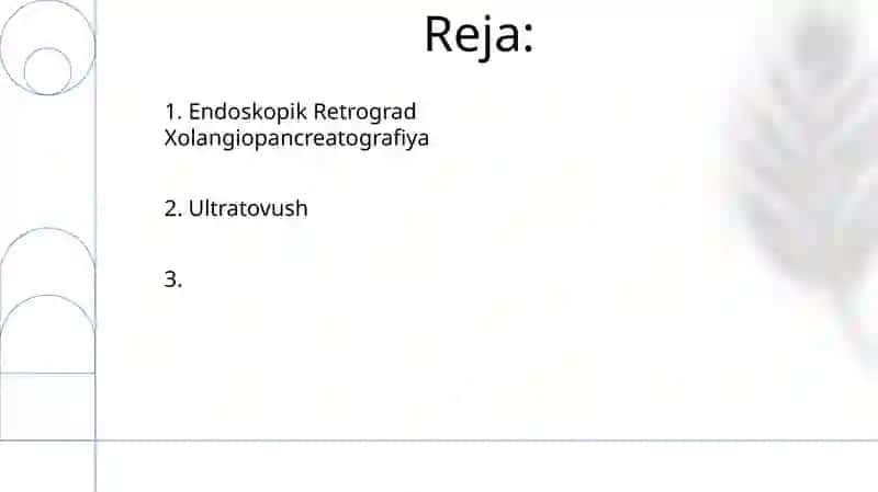 Ultratovush 2