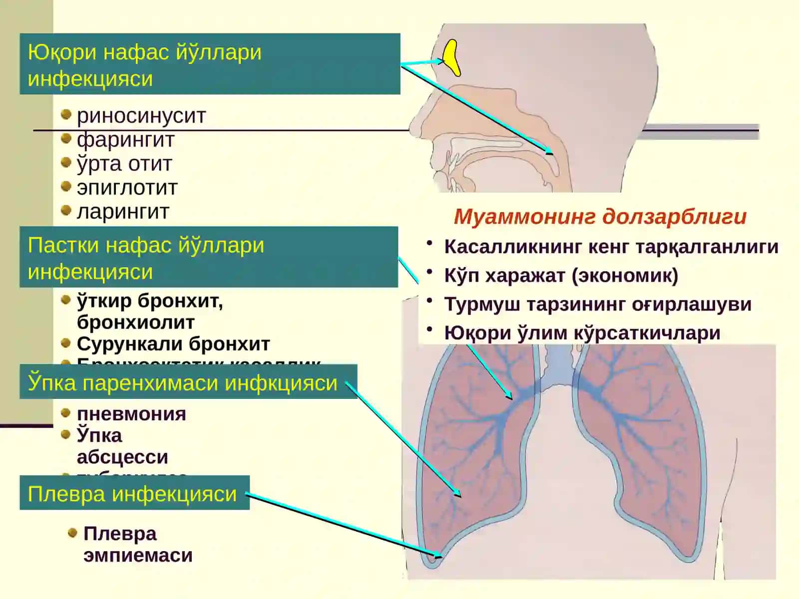 БОЛАЛАРДАЎТКИР ПНЕВМОНИЯ 2
