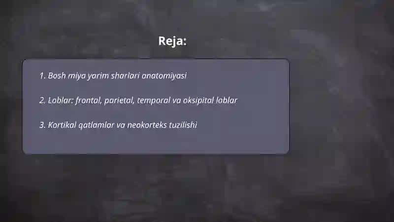 Bosh miya yarim sharlari anatomiyasi 2