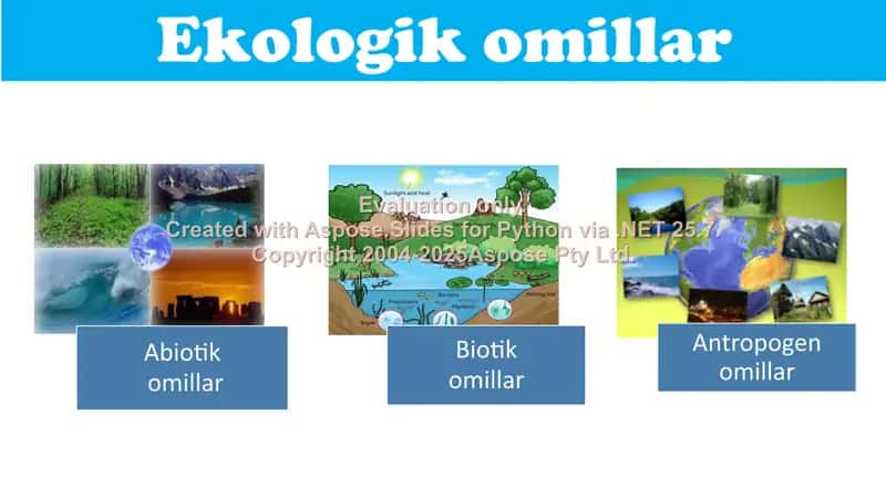 Biologiya mavzusi: Ekologik omillar 2