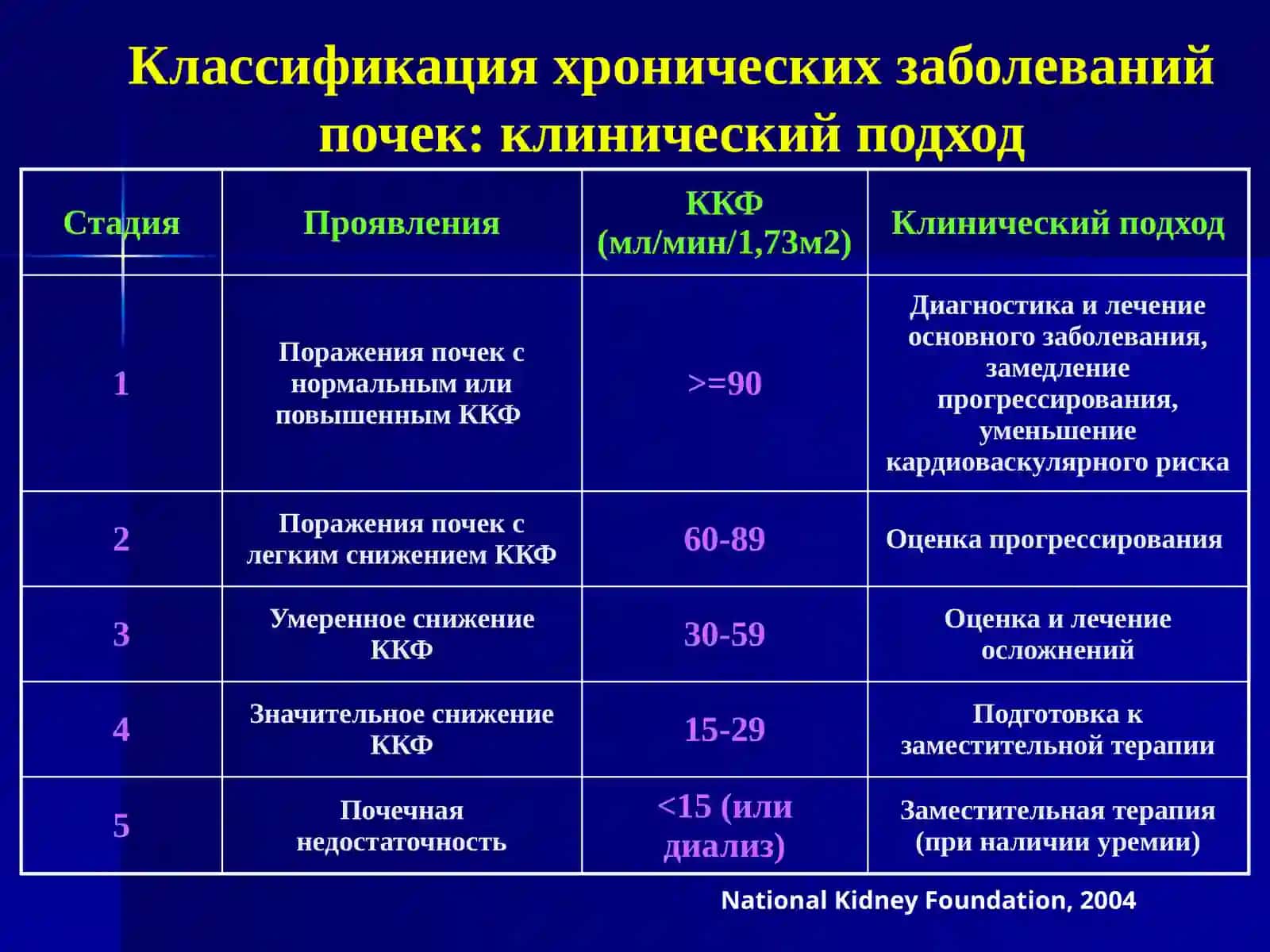 Хроническая почечная недостаточность и заместительная терапия 2