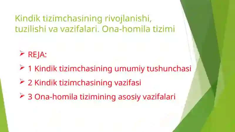 kindik tizimchasi 2