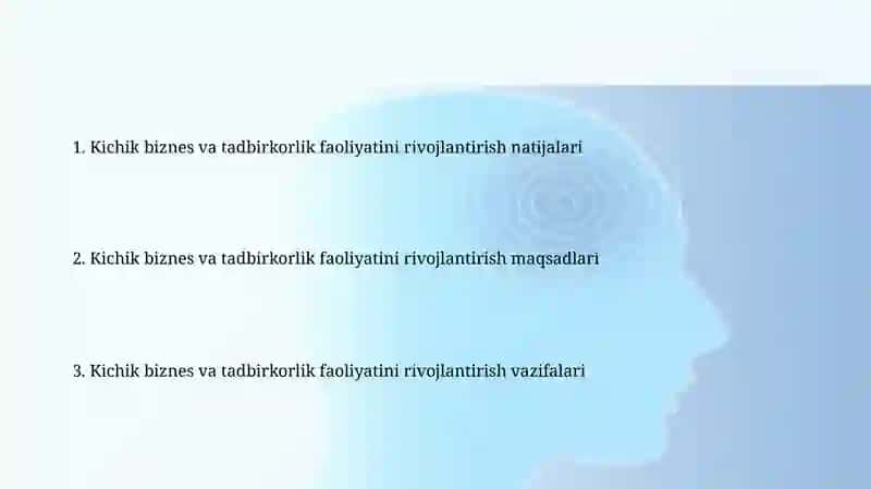 Kichik biznes va tadbirkorlik faoliyatini rivojlantirishning maqsad va vazifalari 2