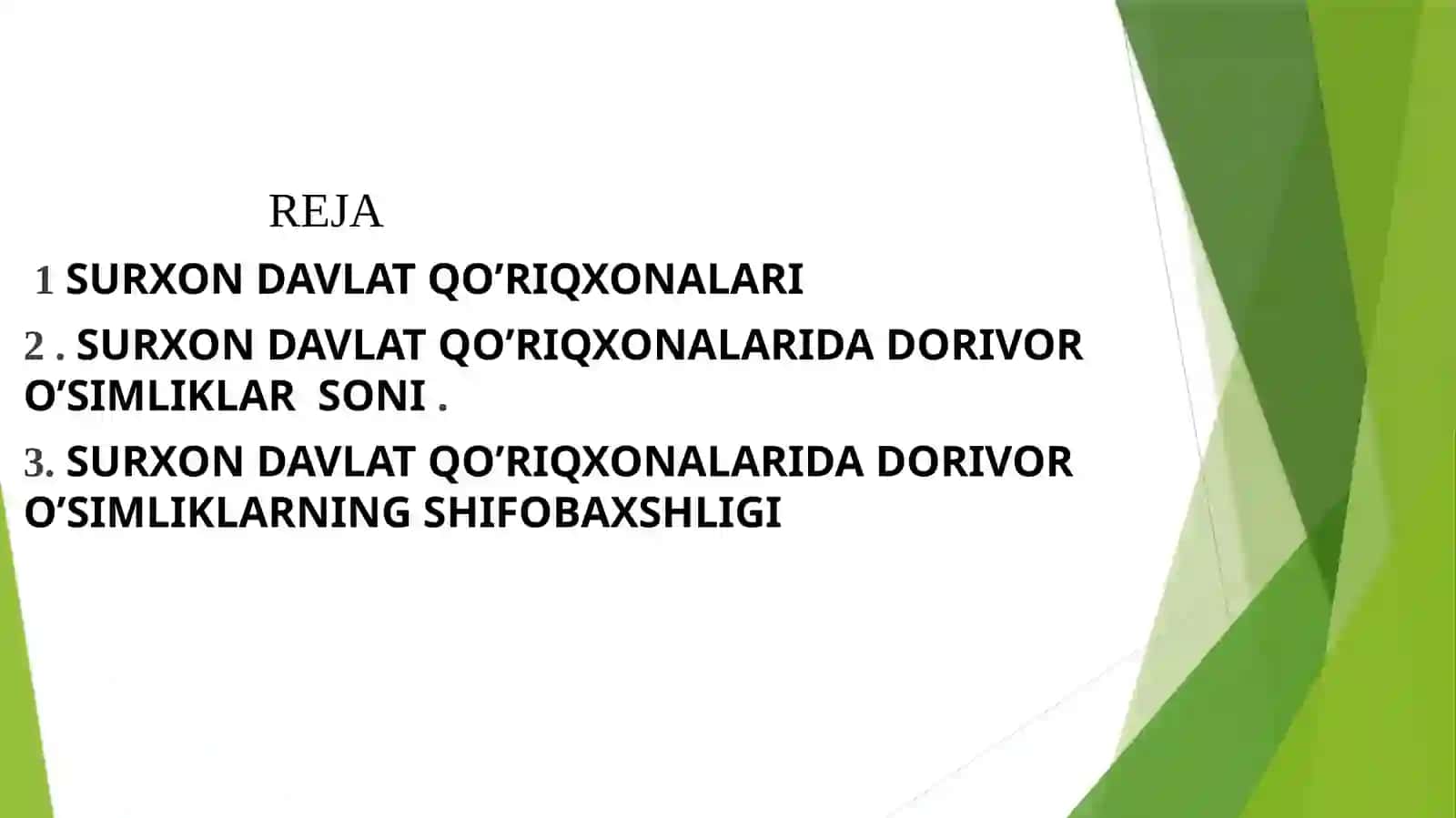 SURXON DAVLAT QO’RIQXONALARIDA KENG TARQALGAN DORIVOR O’SIMLIKLAR 2